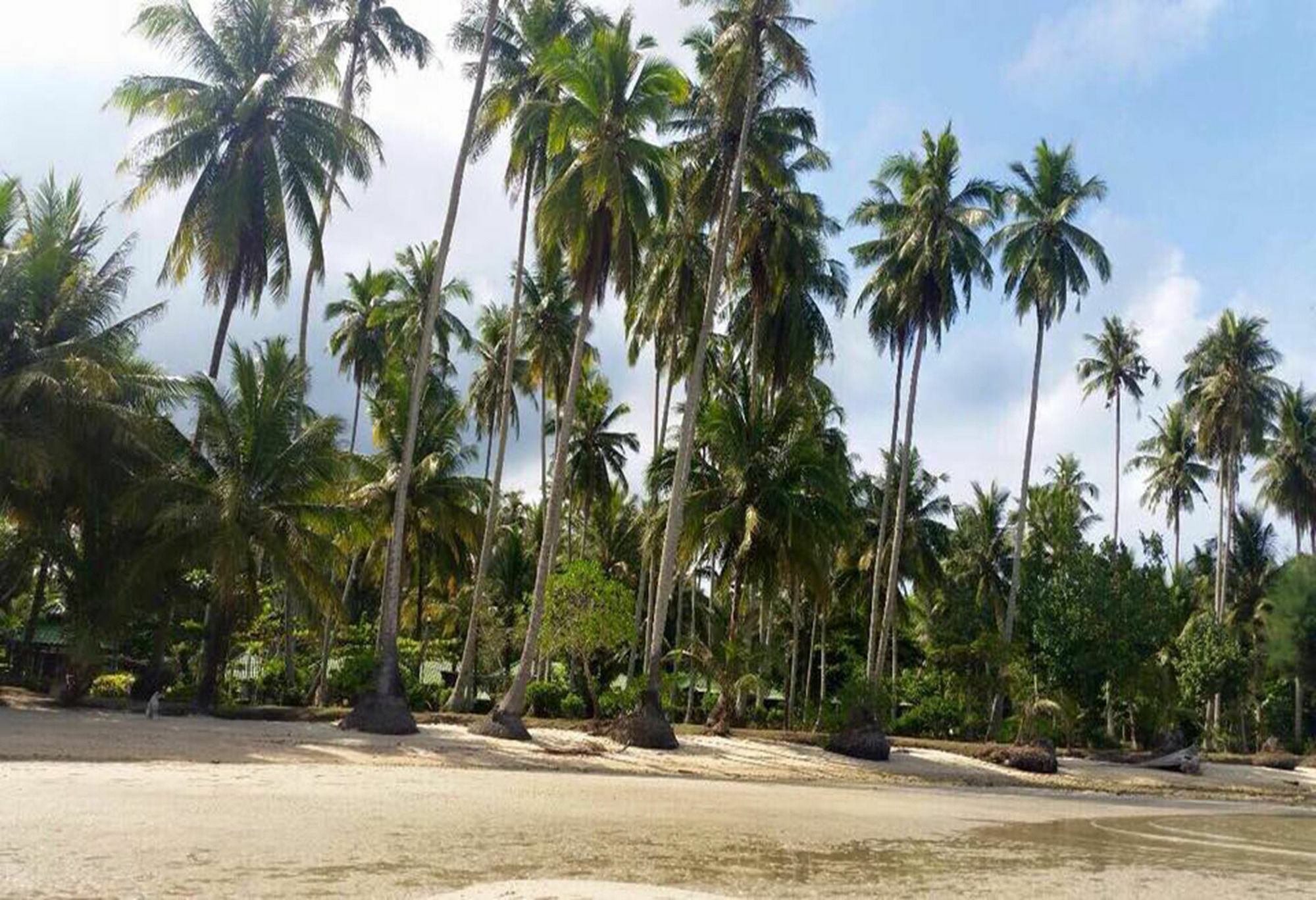 Dusita Koh Kood Resort Ko Kut Ngoại thất bức ảnh